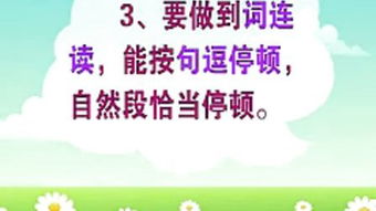 学前教育是什么?
