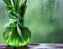 vase 什么意思