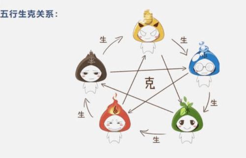 属字是什么意思?
