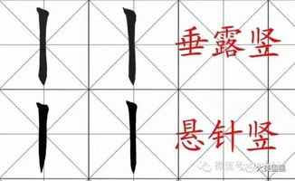 劳动动的笔顺怎么写