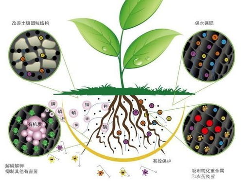 土壤的意思土壤的意思是什么