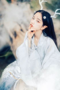 出塞曲 歌词，出塞曲原唱张清芳