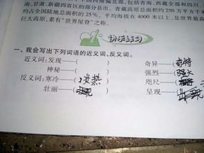 壮丽的近义词是什么 壮丽的含义