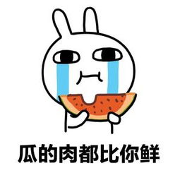 言重了是什么意思