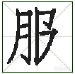 服笔顺组词，装笔顺