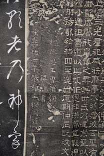 建字组四字成语有哪些