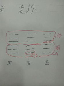 体用是什么?