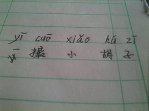 一撮毛的拼音，一撮撮的拼音