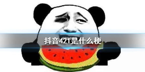 梗是什么意思