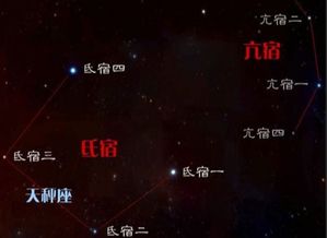 氏的拼音，昏的拼音