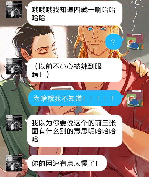 四藏全部，四藏是什么生肖