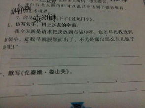 是也是怎么造句一年级上册，是也是怎么造句三年级上册