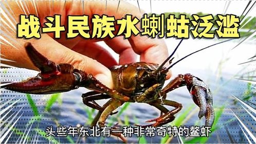蝲怎么读 蝲的拼音是什么