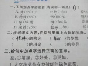 什么的词语一年级，又什么又什么的词语