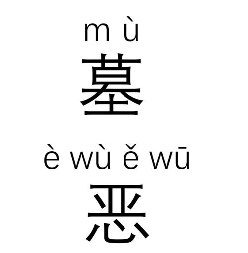 坟的意思
