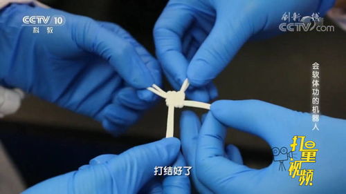 成结是什么意思abo百度，成结是汗
