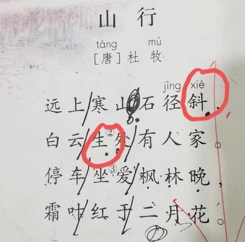 疑怎么读 拼音，毋庸置疑怎么读