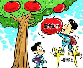 什么叫做特长?
