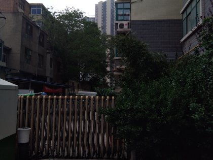 梦见紫雁披霜的预兆
