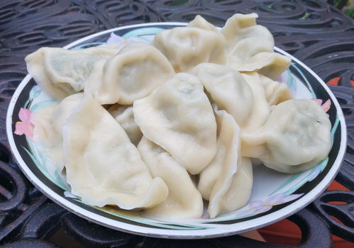 饺子造句10字，饺子造句一年级简单