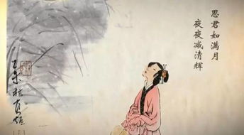 蕴玉抱清辉是什么意思，海月清辉是什么意思
