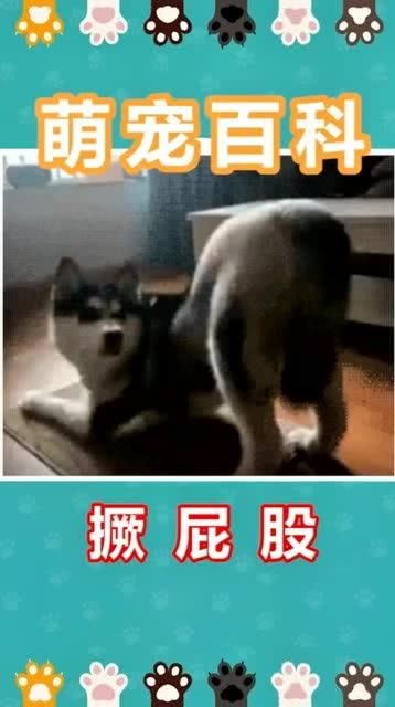 撅是什么意思解释网络用语，网络用语的撅撅是什么意思