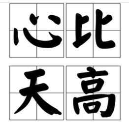 心比天高是什么意思