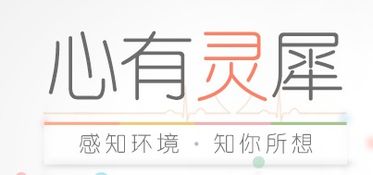 玲珑的意思