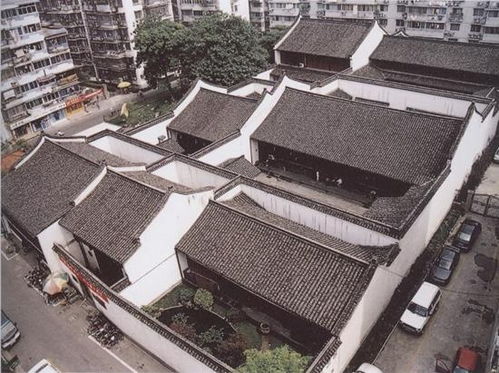 大杂院里守寡的真千金免费阅读，大杂院是什么意思