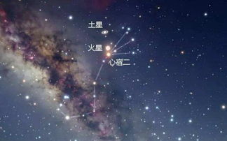 2020荧惑守心预示着什么，荧惑守心发生的灾难
