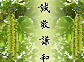 敬畏不敏是什么意思?