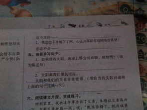 迫不及待造句三年级，迫不及待造句10个字