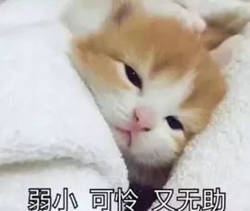 《宿新市徐公店》中的“急走”是什么意思?
