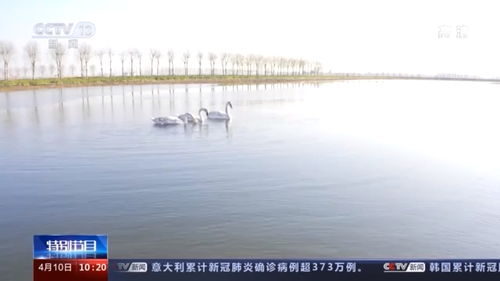 沿着的英文