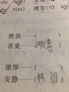 使劲的近义词二年级下册，凶狠的近义词