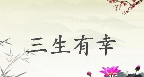 承蒙抬爱,荣幸之至是什么意思，那我荣幸之至是什么意思