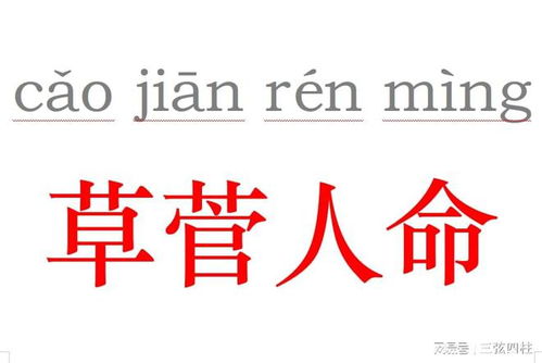 菅怎么读?什么意思?