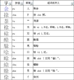 徐组词四年级