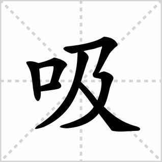 引笔顺笔画，吸笔顺拼音