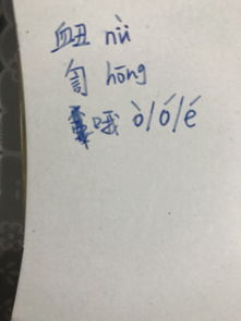 訇怎么读 拼音，砰訇怎么读