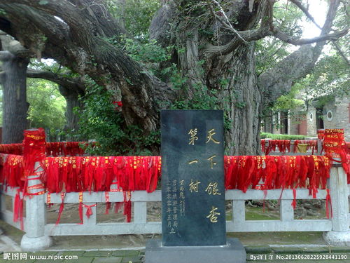 勿忘在莒的典故，勿忘在莒的典故由来