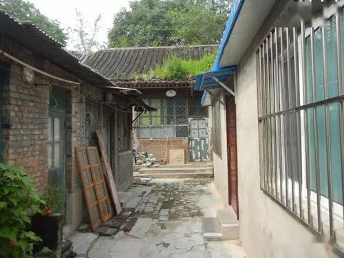 大杂院是怎样的一个环境?