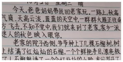 到怎么写笔画，英语爬怎么写