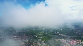 直冲云霄是什么生肖，直冲云霄九万里