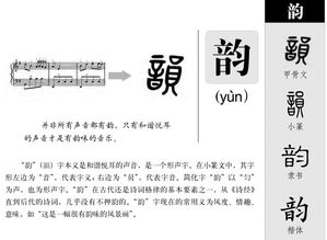 韵的笔顺是