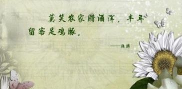 李白古诗《对酒》的大意是什么