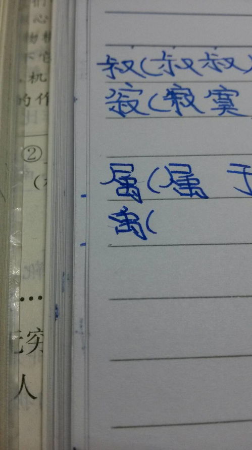 禹的组词