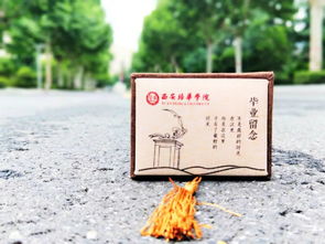 意蕴隽永的意思，简约隽永的意思