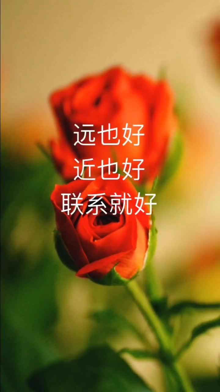 愉快的意思