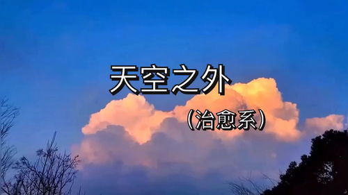 分道扬镳怎么读音是什么意思，觞觥怎么读